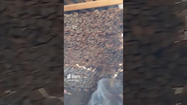 В Сибири газа нет?