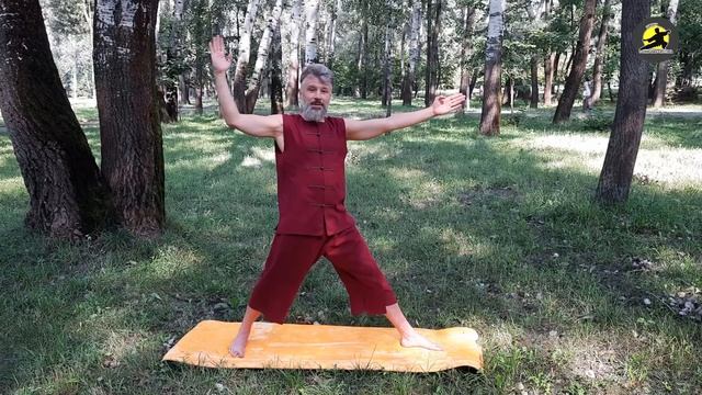 Журавль хлопает крыльями. Динамический цигун. смотреть онлайн