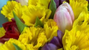 Букет из 25 тюльпанов микс и 50 желтых нарциссов