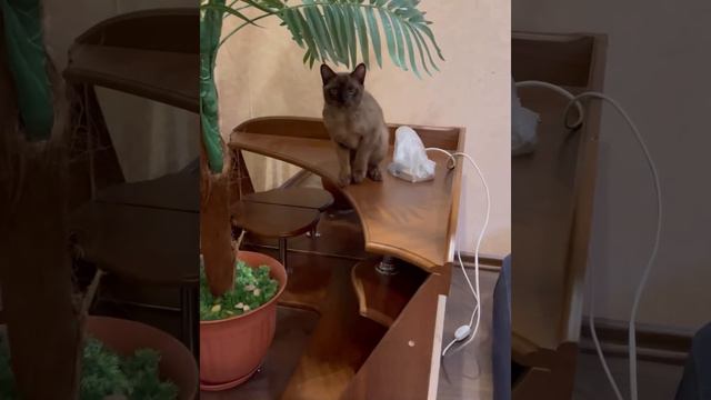 НОМЕР 18 смотреть онлайн