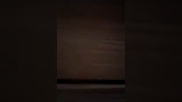 Мир глазами таракана