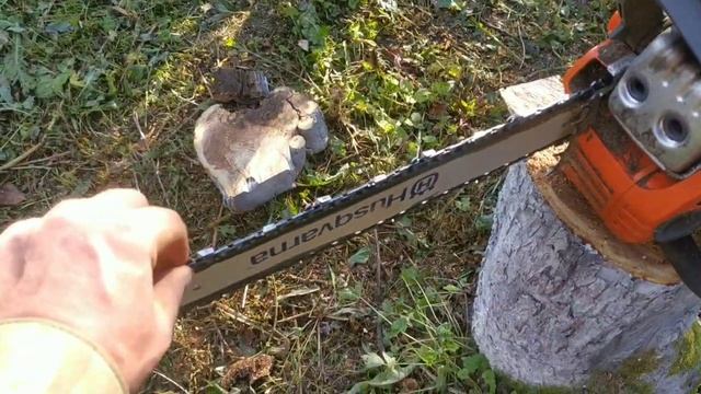 Бензопила Husqvarna 135 отзыв за год. смотреть онлайн