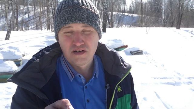 Зимовка пчёл под снегом в Сибири смотреть онлайн
