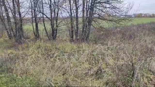 Кривцово 172 смотреть онлайн