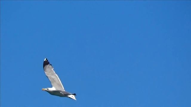 ▶️ КРЫМ/ МОРЕ. ОТДЫХ. НАБЕРЕЖНАЯ. ЦЕНЫ КРУТОЙ ФОНТАН. ЯЛТА СЕЗОН ИЮЛЬ 2023 смотреть онлайн