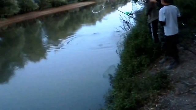 Супер Рыбалка!!!Поймать гигантского Карпа!!!!))))) смотреть онлайн