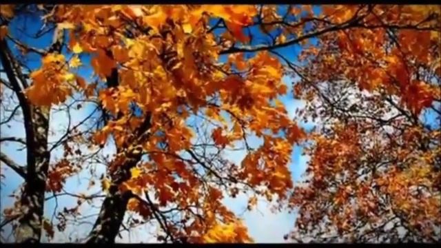 "Осеннее" смотреть онлайн