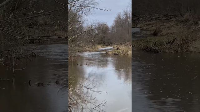 Пасха Христова.Калужская область. смотреть онлайн