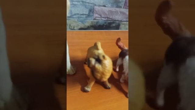 i love dogs...??? my figurine...Collections... смотреть онлайн