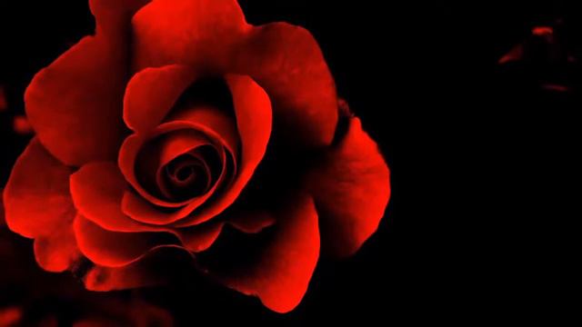 Это лучшая музыка для души! Очень красиво! Шикарная музыка!   Послушайте * RELAX THE BEST! РЕЛАКС