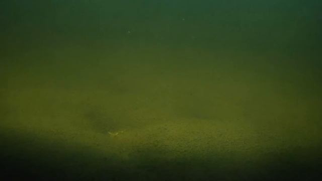 На глубине Химкинского вдхр. 22.03.2021года смотреть онлайн