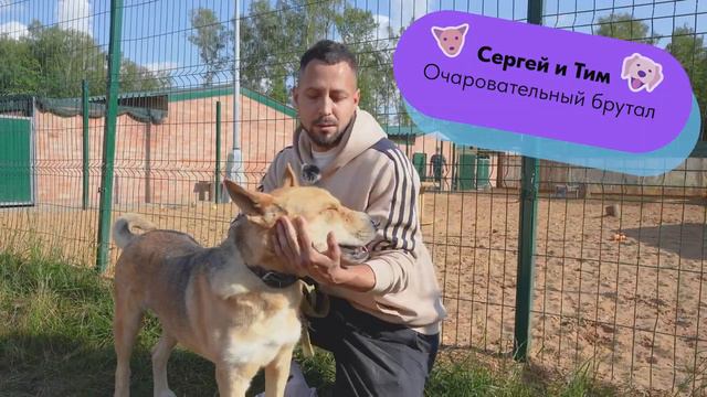 Выставка-пристройство от БФ "Кто сказал ГАВ" смотреть онлайн