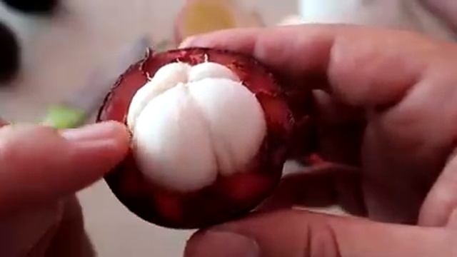 JE GOÛTE L'UN DES MEILLEURS FRUITS DU MONDE ! ?? (INDONÉSIE) #34 смотреть онлайн