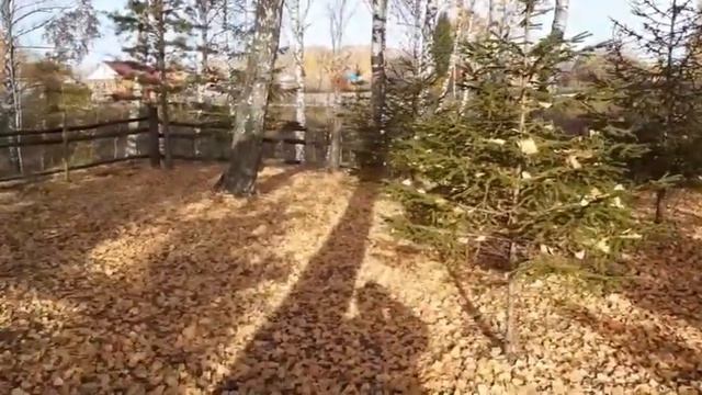 Листопад смотреть онлайн