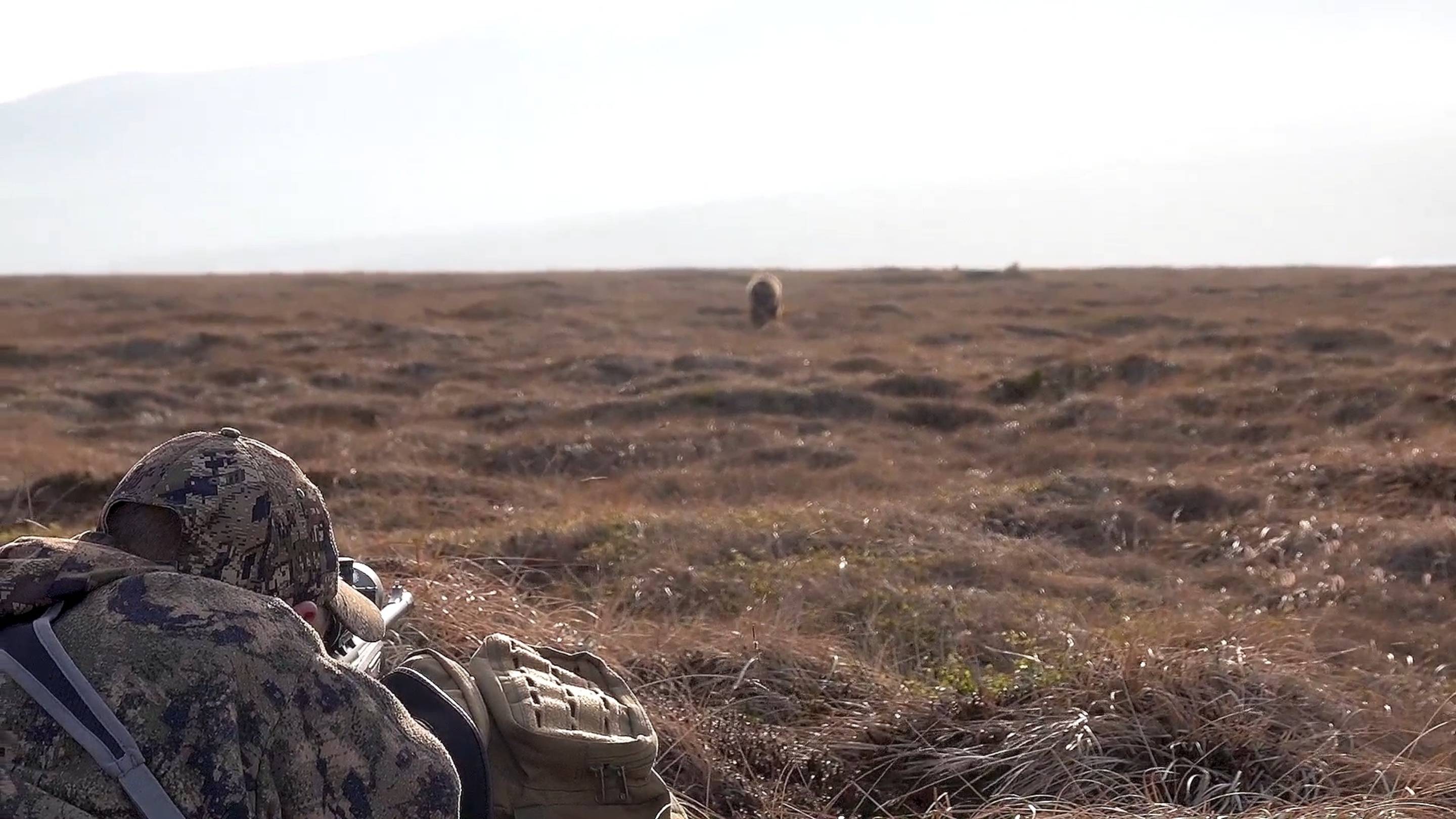 Охота на медведя на побережье Охотского моря смотреть онлайн