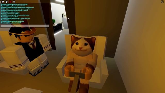 I Become POPCAT in Roblox Brookhaven! смотреть онлайн