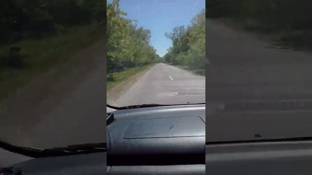 Плантации из акации смотреть онлайн