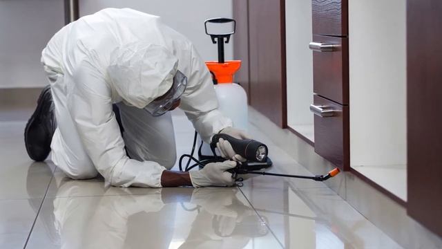 Как подготовить квартиру к обработке от тараканов? Подготовка квартиры до обработки | Советы | СЭ смотреть онлайн