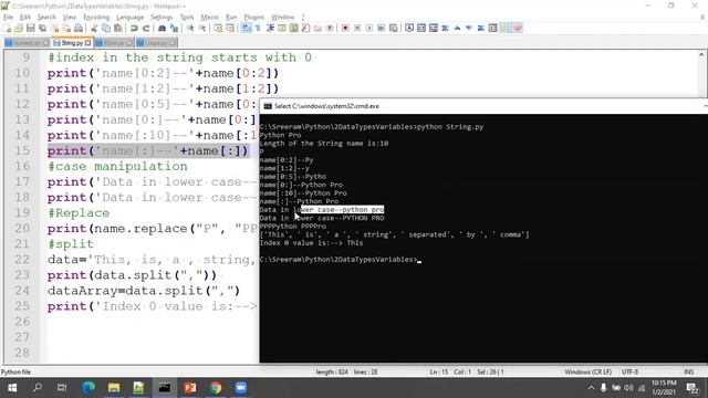 Data Types, Variables, If Else and Loops in Python смотреть онлайн