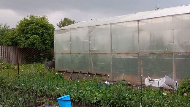 НАШЛА ГНЕЗДО МЕДВЕДКИ. смотреть онлайн