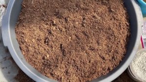 Грунт для петунии.