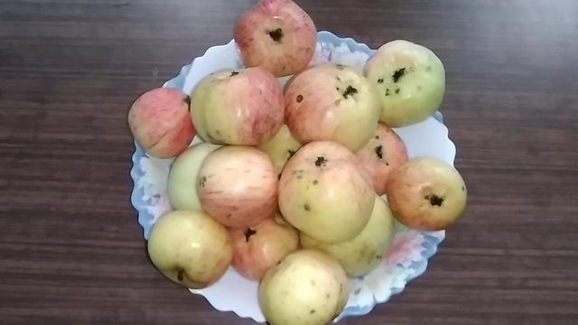 ☼Яблоки сорта Конфетное. смотреть онлайн