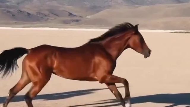 Мантра:Путь к себе || 2 часть Освобождения ? смотреть онлайн