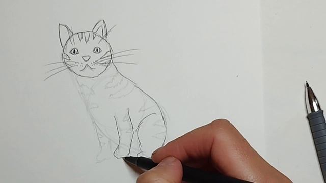 Katze malen, Zeichenkurs für Kinder, как нарисовать кошку, урок для детей ? смотреть онлайн