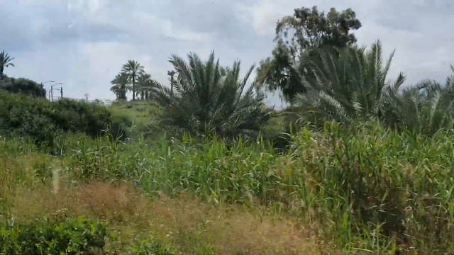 Ярденит.Место Крещения Христа смотреть онлайн