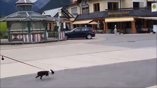 بيرتساو النمسا     Pertisau Austria