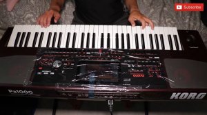 KORG PA 1000 Мальчишник ночь