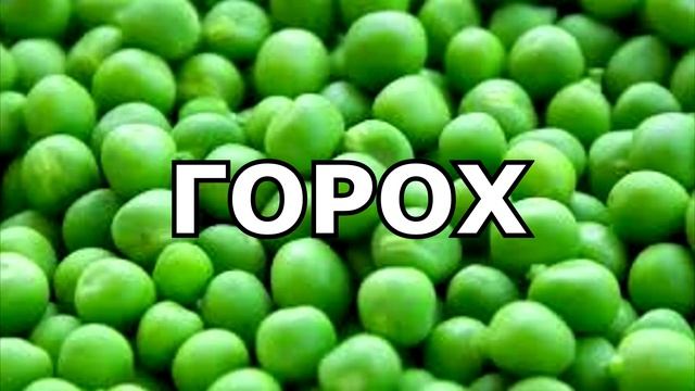 Топ 10 слов на букву Г смотреть онлайн