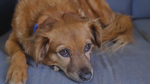 Мудрая притча о годах жизни человека смотреть онлайн