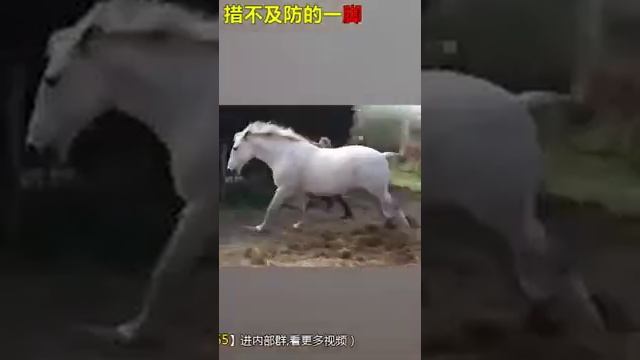 Китайские приколы просто жесть?????? смотреть онлайн