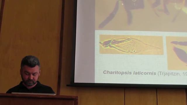Симутник С.А. Наездники-энциртиды Encyrtida (Chalcidoidea, Hymenoptera), Систематика, Биология, Ч-2 смотреть онлайн