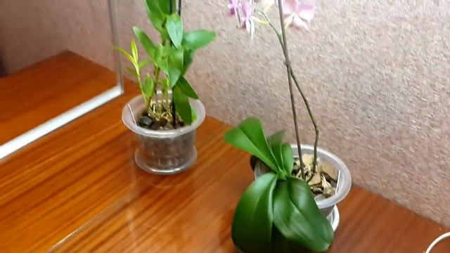 ✅ Освещение для рассады в домашних условиях своими руками смотреть онлайн