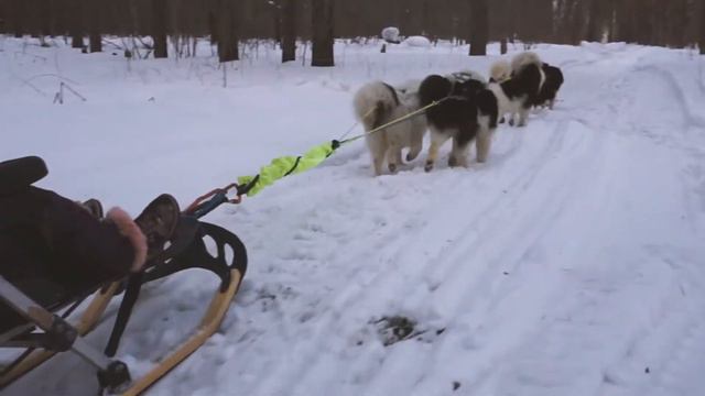 Катаемся всей семьей смотреть онлайн