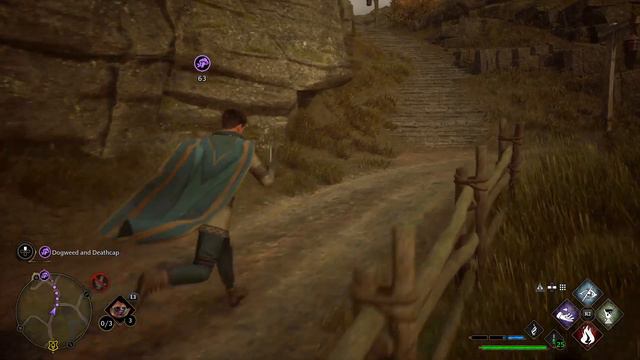 Hogwarts Legacy Gameplay/Walkthrough - PT 28 (PS4 PRO - SSD) смотреть онлайн