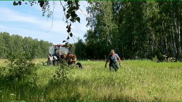 Какие дикие куры бегают в лесах Сибири Сенокос 2020 Бажениты смотреть онлайн