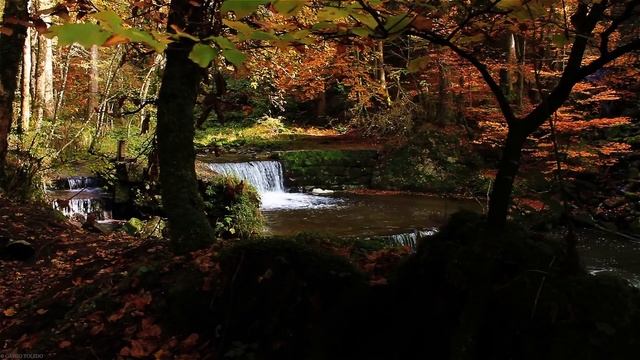 Musique Zen - Flûte, Cloches Tibétaines et Bruit de la Nature - Relaxation, Dormir смотреть онлайн