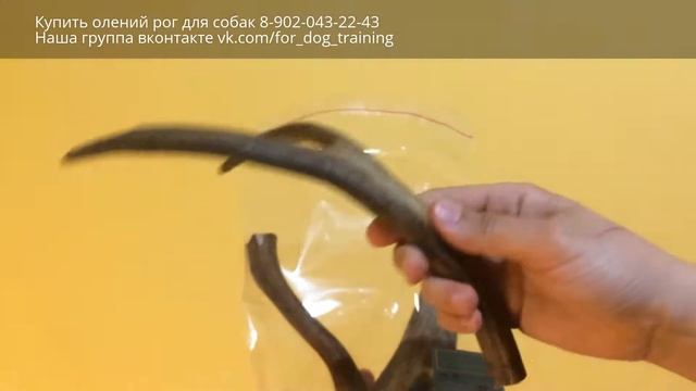 Оленьи рога для собак Саратов смотреть онлайн