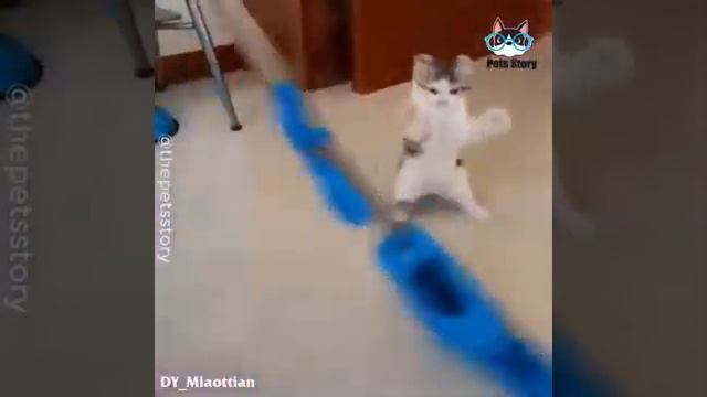 Животные спят!!!))) смотреть онлайн
