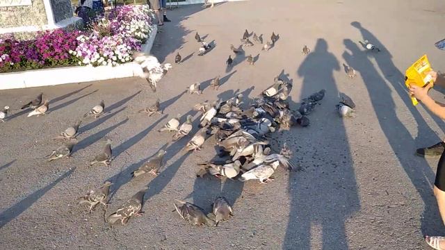 ПАРК⛲/БАТУТ?♀️/ЭЛЕКТРО САМОКАТ?/ДЕТИ РАЗВЛЕКАЮТСЯ? смотреть онлайн
