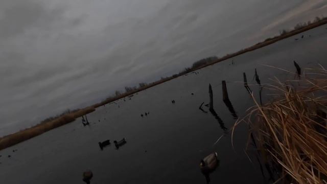 Solo Kayak Duck Hunting A Public Land Marsh (GIVEAWAY) смотреть онлайн