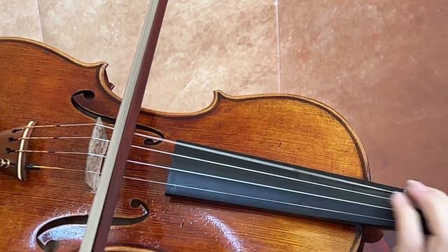 Ifstrings Master Build SE Guarneri del Gesu 1743 