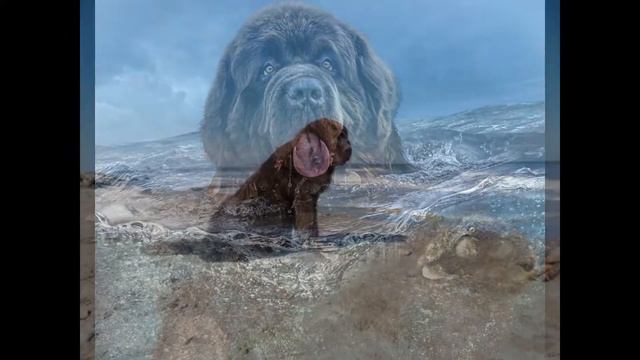 Мое слайд-шоу. Дея - другу посвящается! смотреть онлайн