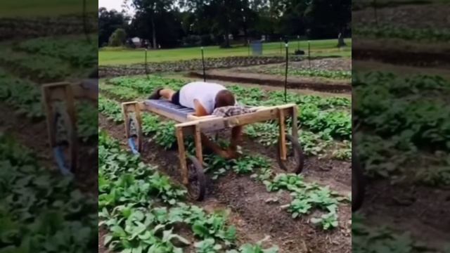 Аппарат для облегчения прополки огорода смотреть онлайн