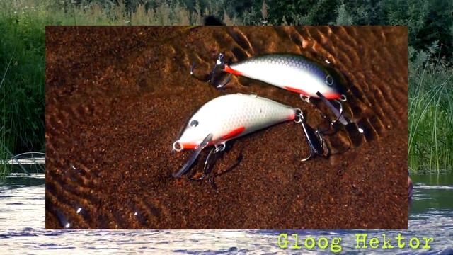 ПРОВЕРЕНО - ЭТИ ВОБЛЕРЫ КОСЯТ РЫБУ ? ПОЛЬСКИЕ ПРИМАНКИ от GLOOG уже в РОССИИ смотреть онлайн