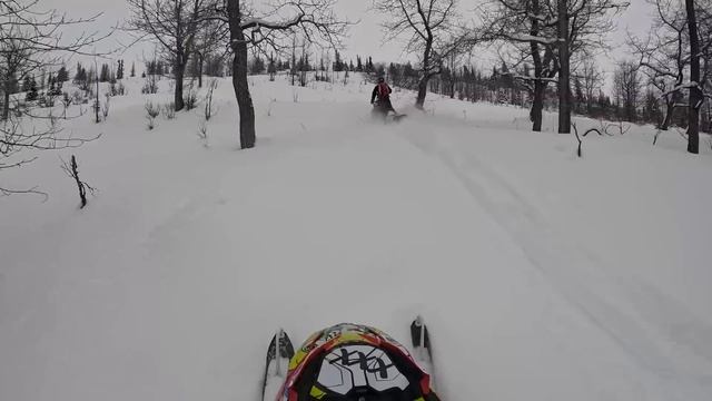 An Average Day in Alaska | Cabin Life & a Day Out in the Woods смотреть онлайн