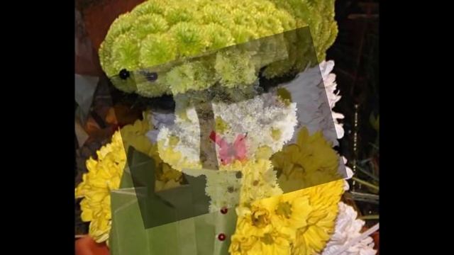 Цветочные фантазии смотреть онлайн